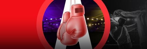 Usyk v Dubois 2 Offers and Preditctions image